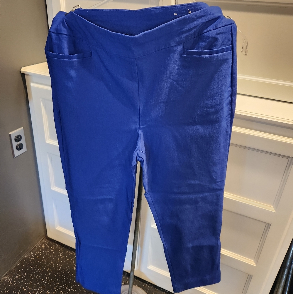 Size 1 Bllue Chicos cropped pants